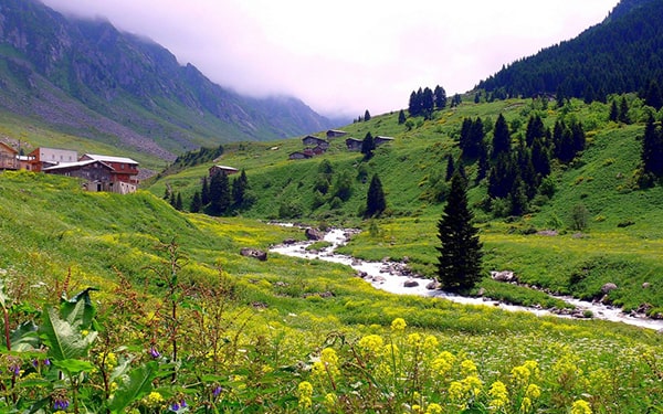 Karadeniz'in en iyi 10 yaylası hakkında faydalı bilgiler Ofix Blog'da...