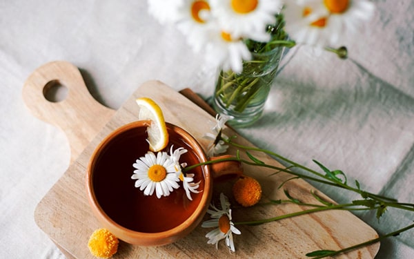 Papatya çayının faydaları hakkında merak ettiğiniz konular Ofix Blog'da...