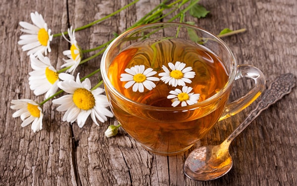 Papatya çayının faydaları hakkında merak ettiğiniz konular Ofix Blog'da...