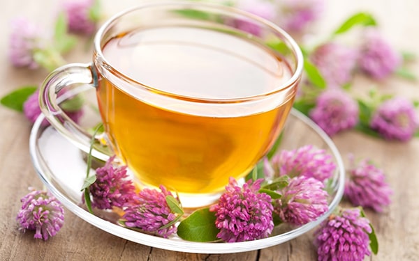 Ekinezya çayı, en etkili antioksidan bitki çayları içindedir.