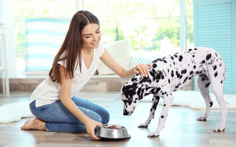 Evcil hayvan bakımı ve beslenmesiyle ilgili merak ettiğiniz konular Ofix Blog'da...